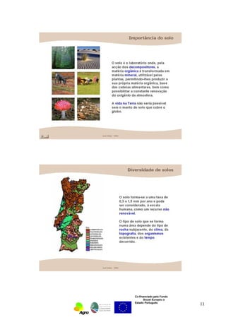 Co-financiado pelo Fundo 
Social Europeu e 
Estado Português 11 
 