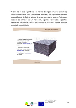 A formação do solo depende de seu material de origem (orgânico ou mineral), 
sofrendo influência do clima (temperatura, humidade), dos organismos presentes 
no solo (Biologia do Sol), do relevo e do tempo, entre outros factores. Após todo o 
processo de formação de um novo solo, algumas propriedades específicas 
poderão ser identificadas como a sua constituição, coloração, textura, estrutura, 
porosidade e consistência. 
Co-financiado pelo Fundo 
Social Europeu e 
Estado Português 
12 
 