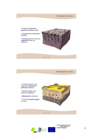 Co-financiado pelo Fundo 
Social Europeu e 
Estado Português 13 
 