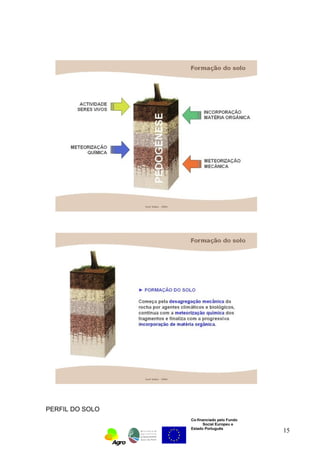 Co-financiado pelo Fundo 
Social Europeu e 
Estado Português 
PERFIL DO SOLO 
15 
 