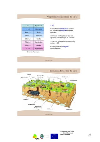 Co-financiado pelo Fundo 
Social Europeu e 
Estado Português 30 
 