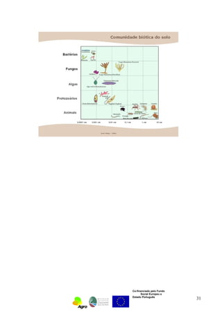 Co-financiado pelo Fundo 
Social Europeu e 
Estado Português 31 
 