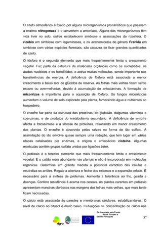 O azoto atmosférico é fixado por alguns microrganismos procarióticos que possuem 
a enzima nitrogenase e o convertem a amoníaco. Alguns dos microrganismos têm 
vida livre no solo, outros estabelecem simbiose e associações da rizosfera. O 
rizóbio em simbiose com leguminosas, e os actinomicetas do género Frankia em 
simbiose com várias espécies florestais, são capazes de fixar grandes quantidades 
de azoto. 
O fósforo é o segundo elemento que mais frequentemente limita o crescimento 
vegetal. Faz parte da estrutura de moléculas orgânicas como os nucleótidos, os 
ácidos nucleicos e os fosfolípidos, e activa muitas moléculas, sendo importante nas 
transferências de energia. A deficiência de fósforo está associada a menor 
crescimento e baixo teor de glúcidos de reserva. As folhas mais velhas ficam verde 
escuro ou avermelhadas, devido à acumulação de antocianinas. A formação de 
micorrizas é importante para a aquisição de fósforo. Os fungos micorrízicos 
aumentam o volume de solo explorado pela planta, fornecendo água e nutrientes ao 
hospedeiro. 
O enxofre faz parte da estrutura das proteínas, do glutatião, dalgumas vitaminas e 
coenzimas, e de produtos do metabolismo secundário. A deficiência de enxofre 
afecta a fotossíntese e a síntese de proteínas, resultando em menor crescimento 
das plantas. O enxofre é absorvido pelas raízes na forma de ião sulfato. A 
assimilação do ião envolve quase sempre uma redução, que tem lugar em várias 
etapas catalisadas por enzimas, e origina o aminoácido cisteína. Algumas 
moléculas contêm grupos sulfato unidos por ligações éster. 
O potássio é o terceiro elemento que mais frequentemente limita o crescimento 
vegetal. É o catião mais abundante nas plantas e não é incorporado em moléculas 
orgânicas. Determina em grande medida o potencial osmótico das células e 
neutraliza os aniões. Regula a abertura e fecho dos estomas e a expansão celular. É 
necessário para a síntese de proteínas. Aumenta a tolerância ao frio, geada e 
doenças. Confere resistência à acama nos cereais. As plantas carentes em potássio 
apresentam manchas cloróticas nas margens das folhas mais velhas, que mais tarde 
ficam necrosadas. 
O cálcio está associado às paredes e membranas celulares, estabilizando-as. O 
nível de cálcio no citosol é muito baixo. Flutuações na concentração de cálcio nas 
Co-financiado pelo Fundo 
Social Europeu e 
Estado Português 
37 
 