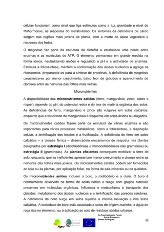 células funcionam como sinal que liga estímulos como a luz, gravidade e nível de 
fitohormonas, às respostas do metabolismo. Os sintomas da deficiência de cálcio 
surgem nas regiões mais jovens da planta, com a morte do ápice vegetativo e 
necroses dos frutos. 
O magnésio faz parte da estrutura da clorofila e estabelece uma ponte entre 
enzimas e as moléculas de ATP. O elemento permanece em grande medida na 
forma iónica, neutralizando aniões e regulando o pH e a actividade de enzimas. 
Estimula a fotossíntese, mantém a conformação dos ácidos nucleicos e agrega os 
ribossomas, preparando-os para a síntese de proteínas. A deficiência de magnésio 
caracteriza-se por menor crescimento, baixo teor de glúcidos e aparecimento de 
cloroses entre as nervuras das folhas mais velhas. 
Co-financiado pelo Fundo 
Social Europeu e 
Estado Português 
Micronutrientes 
A disponibilidade dos micronutrientes catiões (ferro, manganésio, zinco, cobre e 
níquel) depende do pH, do potencial redox e do teor de matéria orgânica dos solos. 
As deficiências de ferro, manganésio e zinco são vulgares em solos calcários, 
enquanto que a toxicidade de manganésio é frequente em solos ácidos ou alagados. 
Os micronutrientes catiões fazem parte da estrutura de várias enzimas e são 
importantes para vários processos metabólicos, como a fotossíntese, a respiração 
celular, a lenhificação dos tecidos e a frutificação. A deficiência de ferro em solos 
calcários – a clorose férrica – desencadeia mecanismos de resposta nas plantas 
designados por estratégia I (dicotiledóneas e monocotiledóneas não gramíneas) ou 
estratégia II (gramíneas). As plantas eficientes conseguem mobilizar o ferro do 
solo, enquanto que as ineficientes apresentam menor crescimento e clorose entre as 
nervuras das folhas mais jovens. Os micronutrientes catiões podem ser fornecidos 
ao solo ou às plantas, por aplicação foliar, na forma de sais minerais ou de quelatos. 
Os micronutrientes aniões incluem o boro, o molibdénio e o cloro. O boro é 
normalmente absorvido na forma de ácido bórico e reage com grupos hidroxilo 
presentes em moléculas orgânicas. Influencia o metabolismo e transporte dos 
glúcidos, metabolismo dos ácidos nucleicos e a lenhificação das paredes celulares. 
A deficiência de boro surge em solos sujeitos a intensa lixiviação e nos solos 
calcários. A toxicidade de boro está associada a solos de origem marinha, a água de 
rega rica no elemento, ou à aplicação ao solo de resíduos sólidos urbanos. 
38 
 