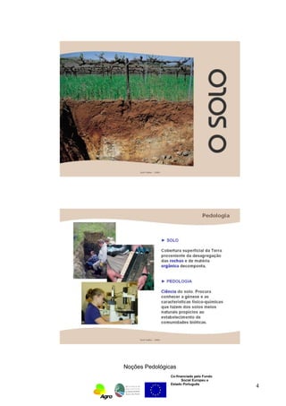 Noções Pedológicas 
Co-financiado pelo Fundo 
Social Europeu e 
Estado Português 
4 
 