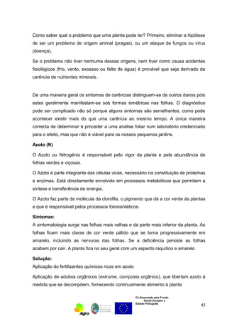 Como saber qual o problema que uma planta pode ter? Primeiro, eliminar a hipótese 
de ser um problema de origem animal (pragas), ou um ataque de fungos ou vírus 
(doença). 
Se o problema não tiver nenhuma dessas origens, nem tiver como causa acidentes 
fisiológicos (frio, vento, excesso ou falta de água) é provável que seja derivado da 
carência de nutrientes minerais. 
De uma maneira geral os sintomas de carências distinguem-se de outros danos pois 
estes geralmente manifestam-se sob formas simétricas nas folhas. O diagnóstico 
pode ser complicado não só porque alguns sintomas são semelhantes, como pode 
acontecer existir mais do que uma carência ao mesmo tempo. A única maneira 
correcta de determinar é proceder a uma análise foliar num laboratório credenciado 
para o efeito, mas que não é viável para os nossos pequenos jardins. 
Azoto (N) 
O Azoto ou Nitrogénio é responsável pelo vigor da planta e pela abundância de 
folhas verdes e viçosas. 
O Azoto é parte integrante das células vivas, necessário na constituição de proteínas 
e enzimas. Está directamente envolvido em processos metabólicos que permitem a 
síntese e transferência de energia. 
O Azoto faz parte da molécula da clorofila, o pigmento que dá a cor verde ás plantas 
e que é responsável pelos processos fotossintéticos. 
Sintomas: 
A sintomatologia surge nas folhas mais velhas e da parte mais inferior da planta. As 
folhas ficam mais claras de cor verde pálido que se torna progressivamente em 
amarelo, incluindo as nervuras das folhas. Se a deficiência persiste as folhas 
acabem por cair. A planta fica no seu geral com um aspecto raquítico e amarelo 
Solução: 
Aplicação do fertilizantes químicos ricos em azoto 
Aplicação de adubos orgânicos (estrume, composto orgânico), que libertam azoto à 
medida que se decompõem, fornecendo continuamente alimento à planta 
Co-financiado pelo Fundo 
Social Europeu e 
Estado Português 
45 
 