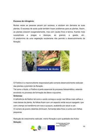 Excesso de nitrogénio: 
Muitas vezes as pessoas pecam por excesso, e adubam em demasia as suas 
plantas. O excesso de azoto pode também trazer problemas para as plantas. Assim, 
as plantas crescem exageradamente, mas com caules finos e tenros, ficando mais 
susceptíveis a pragas e doenças, ao granizo, a geada, etc.. 
O predomínio de uma vegetação exuberante não permite o desenvolvimento da 
floração. 
O Fósforo é o macronutriente responsável pelo correcto desenvolvimento radicular 
das plantas e promotor da floração. 
Tal como o Azoto, o Fósforo é parte essencial do processo fotossintético, estando 
envolvido no processo de formação de óleos e açucares. 
Sintomas: 
A deficiência de fósforo tal como o azoto começa a surgir nas folhas mais velhas e 
mais baixas da planta. As folhas ficam com um aspecto verde escuro apagado, que 
com o tempo se transforma em roxo e purpura, acabando por secar e cair. 
O número de jovens rebentos diminuem, formando talos finos e curtos com folhas 
pequenas 
Redução do crescimento radicular, menor floração e pior qualidade dos frutos 
Solução: 
Co-financiado pelo Fundo 
Social Europeu e 
Estado Português 
46 
 