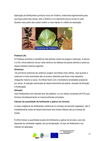 Aplicação do fertilizantes químicos ricos em Fósforo, enterrando ligeiramente para 
que fique perto das raízes, pois o fósforo é um elemento pouco móvel no solo. 
Quanto mais perto das raízes melhor e mais rápido é o efeito da adubação. 
Potássio (K) 
O Potássio aumenta a resistência das plantas contra as pragas e doenças, a secura 
e o frio. Uma carência vai por certo diminuir as defesas da planta abrindo a porta ao 
ataque desses mesmos agentes. 
Sintomas: 
Os primeiros sintomas de carência surgem nas folhas mais velhas, mas quando a 
carência é muito acentuada são os jovens rebentos que ficam mais atacados 
chegando mesmo a secar. As folhas ficam com a bordadura amarelada acabando 
por secar. A redução acentuada do desenvolvimento da planta, redução da floração 
e frutificação. 
Solução: 
Usar fertilizantes com elevado teor de potássio, ou um adubo composto (N-P-K) que 
fornece simultaneamente os macronutrientes principais. 
Cálculo da quantidade de fertilizante a aplicar em árvores 
A maior exigência de fertilizantes verifica-se no começo do período vegetativo, isto é 
imediatamente antes do desenvolvimento dos brotos foliares até ao começo do 
Verão. 
É difícil indicar a quantidade exacta de fertilizante a aplicar ás árvores, pois isto 
depende da variedade vegetal, da sua localização, do tipo de fertilizante e do 
método de aplicação 
Co-financiado pelo Fundo 
Social Europeu e 
Estado Português 
47 
 