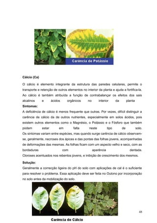 Cálcio (Ca) 
O cálcio é elemento integrante da estrutura das paredes celulares, permite o 
transporte e retenção de outros elementos no interior da planta e ajuda a fortifica-la. 
Ao cálcio é também atribuída a função de contrabalançar os efeitos dos sais 
alcalinos e ácidos orgânicos no interior da planta 
Sintomas: 
A deficiência de cálcio é menos frequente que outras. Por vezes, difícil distinguir a 
carência de cálcio da de outros nutrientes, especialmente em solos ácidos, pois 
existem outros elementos como o Magnésio, o Potássio e o Fósforo que também 
podem estar em falta neste tipo de solo. 
Os sintomas variam entre espécies, mas quando surge carência de cálcio observam-se, 
geralmente, necroses dos ápices e das pontas das folhas jovens, acompanhadas 
de deformações das mesmas. As folhas ficam com um aspecto velho e seco, com as 
bordaduras com aparência dentada. 
Cloroses acentuados nos rebentos jovens, e inibição de crescimento dos mesmos. 
Solução: 
Geralmente a correcção ligeira do pH do solo com aplicações de cal é o suficiente 
para resolver o problema. Essa aplicação deve ser feita no Outono por incorporação 
no solo antes da mobilização do solo. 
Co-financiado pelo Fundo 
Social Europeu e 
Estado Português 
48 
 