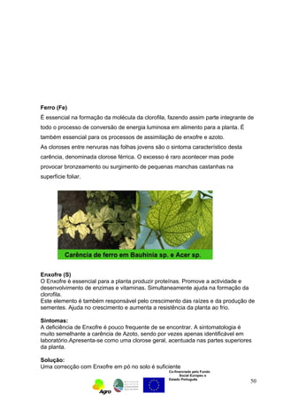 Ferro (Fe) 
É essencial na formação da molécula da clorofila, fazendo assim parte integrante de 
todo o processo de conversão de energia luminosa em alimento para a planta. É 
também essencial para os processos de assimilação de enxofre e azoto. 
As cloroses entre nervuras nas folhas jovens são o sintoma característico desta 
carência, denominada clorose férrica. O excesso é raro acontecer mas pode 
provocar bronzeamento ou surgimento de pequenas manchas castanhas na 
superfície foliar. 
Enxofre (S) 
O Enxofre è essencial para a planta produzir proteínas. Promove a actividade e 
desenvolvimento de enzimas e vitaminas. Simultaneamente ajuda na formação da 
clorofila. 
Este elemento é também responsável pelo crescimento das raízes e da produção de 
sementes. Ajuda no crescimento e aumenta a resistência da planta ao frio. 
Sintomas: 
A deficiência de Enxofre é pouco frequente de se encontrar. A sintomatologia é 
muito semelhante a carência de Azoto, sendo por vezes apenas identificável em 
laboratório.Apresenta-se como uma clorose geral, acentuada nas partes superiores 
da planta. 
Solução: 
Uma correcção com Enxofre em pó no solo é suficiente 
Co-financiado pelo Fundo 
Social Europeu e 
Estado Português 
50 
 