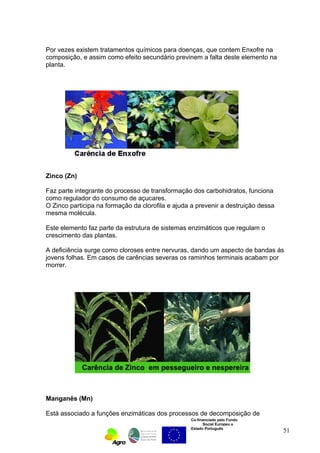 Por vezes existem tratamentos químicos para doenças, que contem Enxofre na 
composição, e assim como efeito secundário previnem a falta deste elemento na 
planta. 
Zinco (Zn) 
Faz parte integrante do processo de transformação dos carbohidratos, funciona 
como regulador do consumo de açucares. 
O Zinco participa na formação da clorofila e ajuda a prevenir a destruição dessa 
mesma molécula. 
Este elemento faz parte da estrutura de sistemas enzimáticos que regulam o 
crescimento das plantas. 
A deficiência surge como cloroses entre nervuras, dando um aspecto de bandas ás 
jovens folhas. Em casos de carências severas os raminhos terminais acabam por 
morrer. 
Manganês (Mn) 
Está associado a funções enzimáticas dos processos de decomposição de 
Co-financiado pelo Fundo 
Social Europeu e 
Estado Português 
51 
 