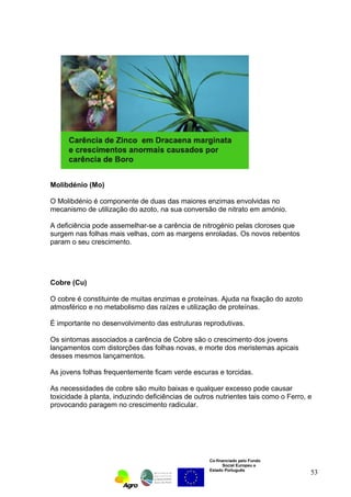 Molibdénio (Mo) 
O Molibdénio é componente de duas das maiores enzimas envolvidas no 
mecanismo de utilização do azoto, na sua conversão de nitrato em amónio. 
A deficiência pode assemelhar-se a carência de nitrogénio pelas cloroses que 
surgem nas folhas mais velhas, com as margens enroladas. Os novos rebentos 
param o seu crescimento. 
Cobre (Cu) 
O cobre é constituinte de muitas enzimas e proteínas. Ajuda na fixação do azoto 
atmosférico e no metabolismo das raízes e utilização de proteínas. 
É importante no desenvolvimento das estruturas reprodutivas. 
Os sintomas associados a carência de Cobre são o crescimento dos jovens 
lançamentos com distorções das folhas novas, e morte dos meristemas apicais 
desses mesmos lançamentos. 
As jovens folhas frequentemente ficam verde escuras e torcidas. 
As necessidades de cobre são muito baixas e qualquer excesso pode causar 
toxicidade à planta, induzindo deficiências de outros nutrientes tais como o Ferro, e 
provocando paragem no crescimento radicular. 
Co-financiado pelo Fundo 
Social Europeu e 
Estado Português 
53 
 