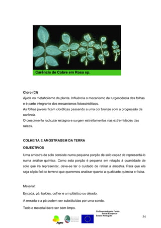Cloro (Cl) 
Ajuda no metabolismo da planta. Influência o mecanismo de turgescência das folhas 
e é parte integrante dos mecanismos fotossintéticos. 
As folhas jovens ficam cloróticas passando a uma cor bronze com a progressão da 
carência. 
O crescimento radicular estagna e surgem estreitamentos nas extremidades das 
raízes. 
COLHEITA E AMOSTRAGEM DA TERRA 
OBJECTIVOS 
Uma amostra de solo consiste numa pequena porção de solo capaz de representá-lo 
numa análise química. Como esta porção é pequena em relação à quantidade de 
solo que irá representar, deve-se ter o cuidado de retirar a amostra. Para que ela 
seja cópia fiel do terreno que queremos analisar quanto a qualidade química e física. 
Material: 
Enxada, pá, baldes, colher e um plástico ou oleado. 
A enxada e a pá podem ser substituídas por uma sonda. 
Todo o material deve ser bem limpo. 
Co-financiado pelo Fundo 
Social Europeu e 
Estado Português 
54 
 