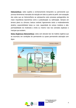 Hidromórficos: solos sujeitos a encharcamento temporário ou permanente que 
provoca fenómenos marcados de redução em todo ou parte do perfil, com excepção 
dos solos que ao hidromorfismo se sobreponha outro processo pedogenético de 
maior importância taxonómica como a podzolização ou salinização. Sempre em 
terreno plano ou côncavo; textura variável; ligeiramente ácido a moderadamente 
alcalino; expansibilidade baixa ou nula; capacidade de campo mediana a alta; 
permeabilidade de moderada a lenta ou mesmo nula nas camadas argilosas e 
maciças que existem; 
Solos Orgânicos Hidromórficos: solos com elevado teor de matéria orgânica que 
se acumulou em condições de permanente ou quase permanente saturação com 
água. 
Co-financiado pelo Fundo 
Social Europeu e 
Estado Português 
8 
 