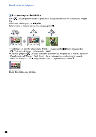 Visualización de imágenes



        Para ver una pantalla de índice
     Pulse     (Índice) para visualizar la pantalla de índice mientras está visualizada una imagen
     fija.
     Seleccione una imagen con v/V/b/B.
     Para volver a la pantalla de una sola imagen, pulse z.




     • También puede acceder a la pantalla de índice seleccionando [    Índice imágenes] en
           (Visionado de imágs.) de la pantalla HOME.
     • Cada vez que pulse      (Índice), aumentará el número de imágenes en la pantalla de índice.
     • Cuando utilice el “Memory Stick Duo”, y haya varias carpetas, seleccione la barra de
       selección de carpeta con b, después seleccione la carpeta deseada con v/V.




     Barra de selección de carpeta




36
 