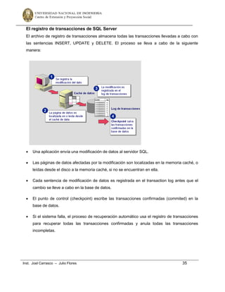 Manual sql nivel i | PDF