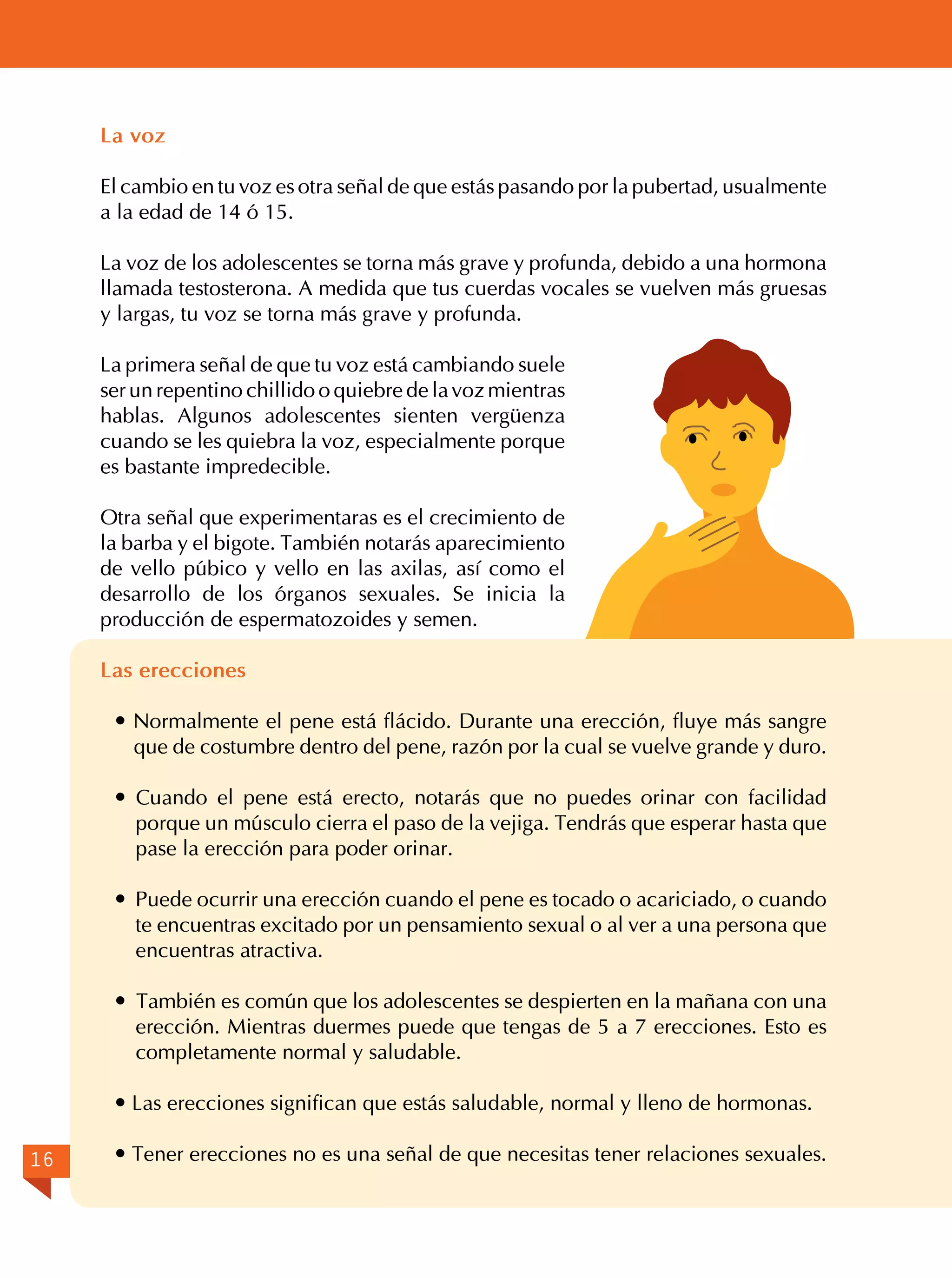 La voz
El cambio en tu voz es otra señal de que estás pasando por la pubertad, usualmente
a la edad de 14 ó 15.
La voz de los adolescentes se torna más grave y profunda, debido a una hormona
llamada testosterona. A medida que tus cuerdas vocales se vuelven más gruesas
y largas, tu voz se torna más grave y profunda.
La primera señal de que tu voz está cambiando suele
ser un repentino chillido o quiebre de la voz mientras
hablas. Algunos adolescentes sienten vergüenza
cuando se les quiebra la voz, especialmente porque
es bastante impredecible.
Otra señal que experimentaras es el crecimiento de
la barba y el bigote. También notarás aparecimiento
de vello púbico y vello en las axilas, así como el
desarrollo de los órganos sexuales. Se inicia la
producción de espermatozoides y semen.
Las erecciones
 Normalmente el pene está flácido. Durante una erección, fluye más sangre
que de costumbre dentro del pene, razón por la cual se vuelve grande y duro.
 Cuando el pene está erecto, notarás que no puedes orinar con facilidad
porque un músculo cierra el paso de la vejiga. Tendrás que esperar hasta que
pase la erección para poder orinar.
 Puede ocurrir una erección cuando el pene es tocado o acariciado, o cuando
te encuentras excitado por un pensamiento sexual o al ver a una persona que
encuentras atractiva.
 También es común que los adolescentes se despierten en la mañana con una
erección. Mientras duermes puede que tengas de 5 a 7 erecciones. Esto es
completamente normal y saludable.
 Las erecciones significan que estás saludable, normal y lleno de hormonas.
16

 Tener erecciones no es una señal de que necesitas tener relaciones sexuales.

 