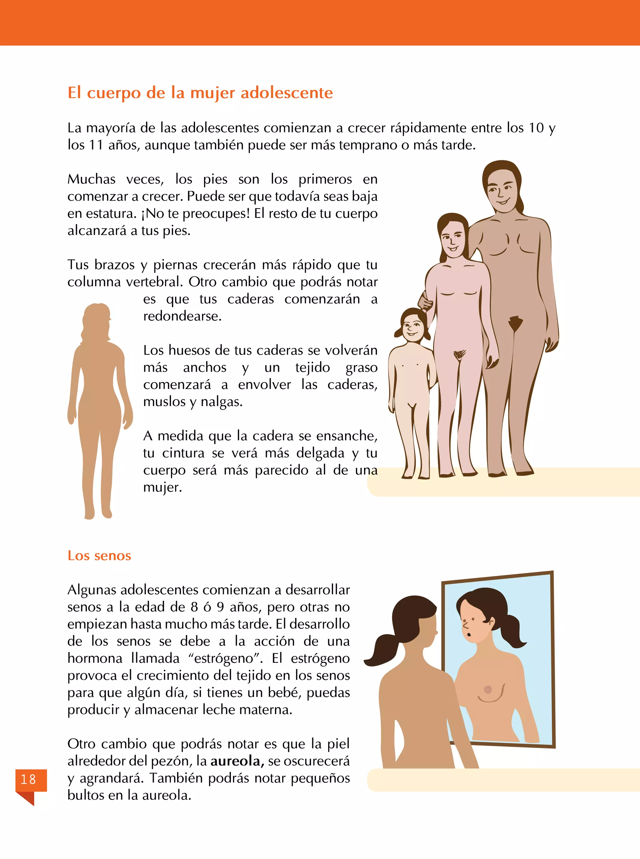 El cuerpo de la mujer adolescente
La mayoría de las adolescentes comienzan a crecer rápidamente entre los 10 y
los 11 años, aunque también puede ser más temprano o más tarde.
Muchas veces, los pies son los primeros en
comenzar a crecer. Puede ser que todavía seas baja
en estatura. ¡No te preocupes! El resto de tu cuerpo
alcanzará a tus pies.
Tus brazos y piernas crecerán más rápido que tu
columna vertebral. Otro cambio que podrás notar
es que tus caderas comenzarán a
redondearse.
Los huesos de tus caderas se volverán
más anchos y un tejido graso
comenzará a envolver las caderas,
muslos y nalgas.
A medida que la cadera se ensanche,
tu cintura se verá más delgada y tu
cuerpo será más parecido al de una
mujer.

Los senos
Algunas adolescentes comienzan a desarrollar
senos a la edad de 8 ó 9 años, pero otras no
empiezan hasta mucho más tarde. El desarrollo
de los senos se debe a la acción de una
hormona llamada “estrógeno”. El estrógeno
provoca el crecimiento del tejido en los senos
para que algún día, si tienes un bebé, puedas
producir y almacenar leche materna.

18

Otro cambio que podrás notar es que la piel
alrededor del pezón, la aureola, se oscurecerá
y agrandará. También podrás notar pequeños
bultos en la aureola.

 