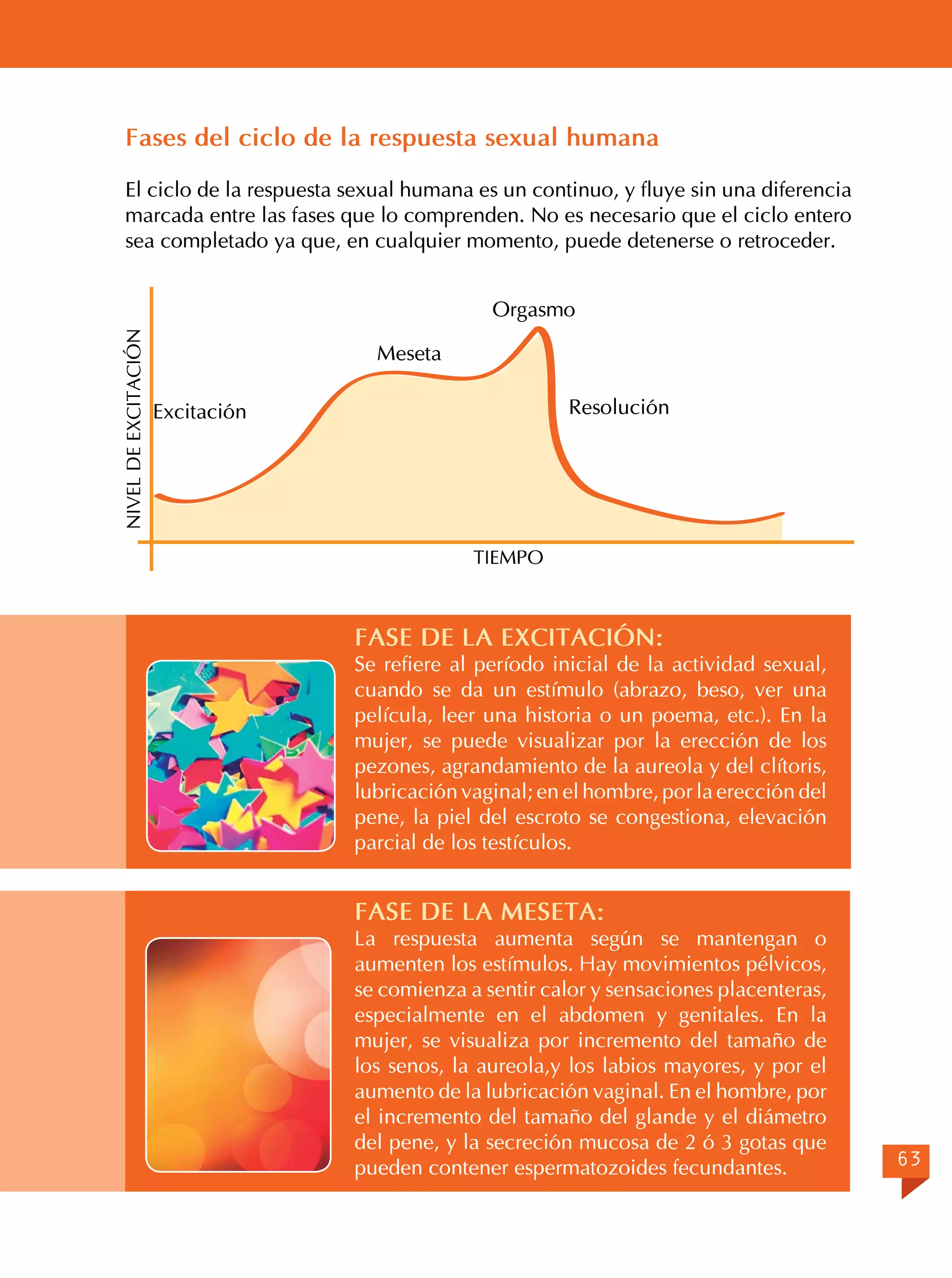 Fases del ciclo de la respuesta sexual humana
El ciclo de la respuesta sexual humana es un continuo, y fluye sin una diferencia
marcada entre las fases que lo comprenden. No es necesario que el ciclo entero
sea completado ya que, en cualquier momento, puede detenerse o retroceder.

NIVEL DE EXCITACIÓN

Orgasmo
Meseta
Resolución

Excitación

TIEMPO

FASE DE LA EXCITACIÓN:

Se refiere al período inicial de la actividad sexual,
cuando se da un estímulo (abrazo, beso, ver una
película, leer una historia o un poema, etc.). En la
mujer, se puede visualizar por la erección de los
pezones, agrandamiento de la aureola y del clítoris,
lubricación vaginal; en el hombre, por la erección del
pene, la piel del escroto se congestiona, elevación
parcial de los testículos.

FASE DE LA MESETA:

La respuesta aumenta según se mantengan o
aumenten los estímulos. Hay movimientos pélvicos,
se comienza a sentir calor y sensaciones placenteras,
especialmente en el abdomen y genitales. En la
mujer, se visualiza por incremento del tamaño de
los senos, la aureola,y los labios mayores, y por el
aumento de la lubricación vaginal. En el hombre, por
el incremento del tamaño del glande y el diámetro
del pene, y la secreción mucosa de 2 ó 3 gotas que
pueden contener espermatozoides fecundantes.

63

 