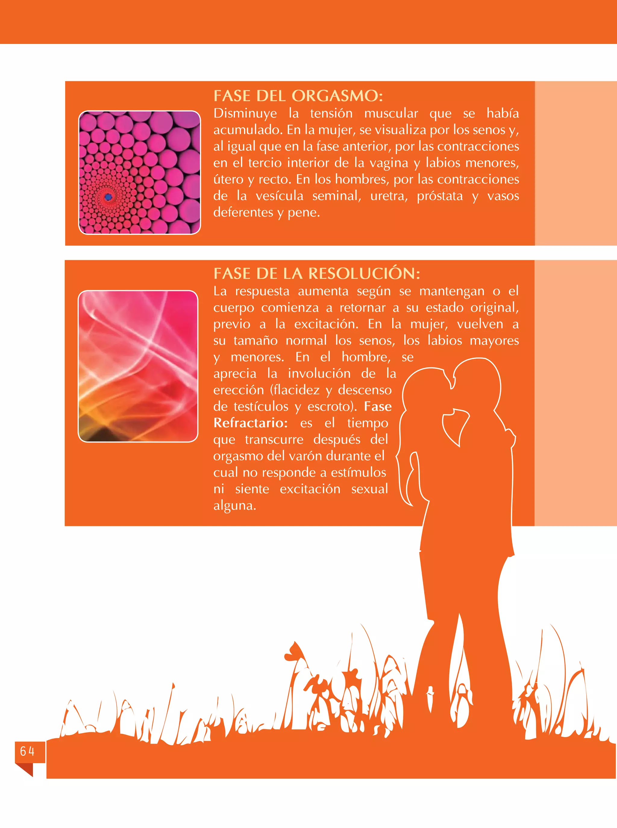 FASE DEL ORGASMO:

Disminuye la tensión muscular que se había
acumulado. En la mujer, se visualiza por los senos y,
al igual que en la fase anterior, por las contracciones
en el tercio interior de la vagina y labios menores,
útero y recto. En los hombres, por las contracciones
de la vesícula seminal, uretra, próstata y vasos
deferentes y pene.

FASE DE LA RESOLUCIÓN:

La respuesta aumenta según se mantengan o el
cuerpo comienza a retornar a su estado original,
previo a la excitación. En la mujer, vuelven a
su tamaño normal los senos, los labios mayores
y menores. En el hombre, se
aprecia la involución de la
erección (flacidez y descenso
de testículos y escroto). Fase
Refractario: es el tiempo
que transcurre después del
orgasmo del varón durante el
cual no responde a estímulos
ni siente excitación sexual
alguna.

64

 