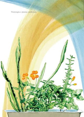 Fitoterapia e plantas medicinais




                                   144
 