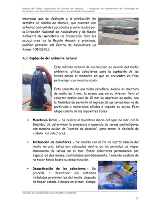 51
Manual de Cultivo Suspendido de Concha de Abanico – Programa de Transferencia de Tecnología en
Acuicultura para Pescadores Artesanales y Comunidades Campesinas
!
1 :
M ! *
( $
076 : 1. .#
($ + ' $ $*
. -
!
.
A
A3
( .
+
• ) " $" " % B #
(
! K ! L
• $ + " $" B #
-
.
!
• $ % + " " $" B #
-
! 5
Acuerdo de Colaboración AECI/PADESPA-FONDEPES
 