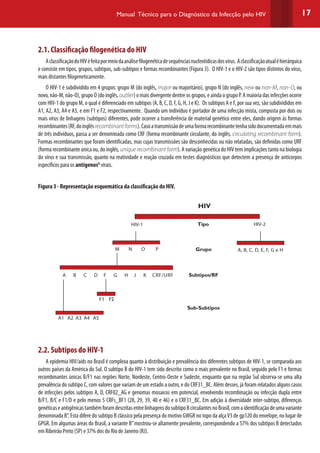 17Manual Técnico para o Diagnóstico da Infecção pelo HIV
2.1. Classificação filogenética do HIV
AclassificaçãodoHIVéfeitapormeiodaanálisefilogenéticadesequênciasnucleotídicasdosvírus. Aclassificaçãoatualéhierárquica
e consiste em tipos, grupos, subtipos, sub-subtipos e formas recombinantes (Figura 3). O HIV-1 e o HIV-2 são tipos distintos do vírus,
mais distantes filogeneticamente.
O HIV-1 é subdividido em 4 grupos: grupo M (do inglês, major ou majoritário), grupo N (do inglês, new ou non-M, non-O, ou
novo,não-M,não-O),grupoO(doinglês,outlier)omaisdivergentedentreosgrupos,eaindaogrupoP.Amaioriadasinfecçõesocorre
com HIV-1 do grupo M, o qual é diferenciado em subtipos (A, B, C, D, F, G, H, J e K). Os subtipos A e F, por sua vez, são subdivididos em
A1, A2, A3, A4 e A5, e em F1 e F2, respectivamente. Quando um indivíduo é portador de uma infecção mista, composta por dois ou
mais vírus de linhagens (subtipos) diferentes, pode ocorrer a transferência de material genético entre eles, dando origem às formas
recombinantes(RF,doinglêsrecombinantforms).Casoatransmissãodeumaformarecombinantetenhasidodocumentadaemmais
de três indivíduos, passa a ser denominada como CRF (forma recombinante circulante, do inglês, circulating recombinant form).
Formas recombinantes que foram identificadas, mas cujas transmissões são desconhecidas ou não relatadas, são definidas como URF
(forma recombinante única ou, do inglês, unique recombinant form). A variação genética do HIV tem implicações tanto na biologia
do vírus e sua transmissão, quanto na reatividade e reação cruzada em testes diagnósticos que detectem a presença de anticorpos
específicos para os antígenosG
virais.
Figura 3 - Representação esquemática da classificação do HIV.
HIV
HIV-1 HIV-2Tipo
M N O P
F1 F2
A1 A2 A3 A4 A5
A B C D F G H J K CRF/URF
Grupo
Subtipos/RF
Sub-Subtipos
2.2. Subtipos do HIV-1
A epidemia HIV/aids no Brasil é complexa quanto à distribuição e prevalência dos diferentes subtipos de HIV-1, se comparada aos
outros países da América do Sul. O subtipo B do HIV-1 tem sido descrito como o mais prevalente no Brasil, seguido pelo F1 e formas
recombinantes únicas B/F1 nas regiões Norte, Nordeste, Centro-Oeste e Sudeste, enquanto que na região Sul observa-se uma alta
prevalência do subtipo C, com valores que variam de um estado a outro, e do CRF31_BC. Além desses, já foram relatados alguns casos
de infecções pelos subtipos A, D, CRF02_AG e genomas mosaicos em potencial, envolvendo recombinação ou infecção dupla entre
B/F1, B/C e F1/D e pelo menos 5 CRFs_BF1 (28, 29, 39, 40 e 46) e o CRF31_BC. Em adição à diversidade inter-subtipo, diferenças
genéticaseantigênicastambémforamdescritasentrelinhagensdosubtipoBcirculantesnoBrasil,comaidentificaçãodeumavariante
denominada B’’. Esta difere do subtipo B clássico pela presença do motivo GWGR no topo da alçaV3 de gp120 do envelope, no lugar de
GPGR. Em algumas áreas do Brasil, a variante B’’mostrou-se altamente prevalente, correspondendo a 57% dos subtipos B detectados
em Ribeirão Preto (SP) e 37% dos do Rio de Janeiro (RJ).
A, B, C, D, E, F, G e H
 