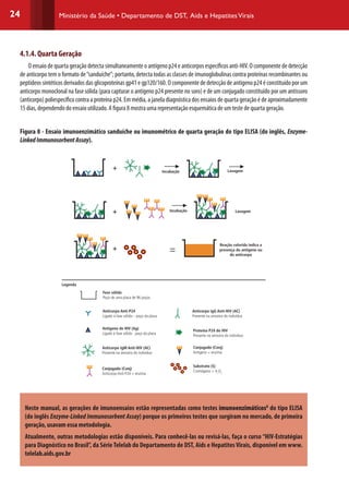24 Ministério da Saúde • Departamento de DST, Aids e HepatitesVirais
4.1.4. Quarta Geração
O ensaio de quarta geração detecta simultaneamente o antígeno p24 e anticorpos específicos anti-HIV. O componente de detecção
de anticorpo tem o formato de“sanduíche”; portanto, detecta todas as classes de imunoglobulinas contra proteínas recombinantes ou
peptídeos sintéticos derivados das glicoproteínas gp41 e gp120/160. O componente de detecção de antígeno p24 é constituído por um
anticorpo monoclonal na fase sólida (para capturar o antígeno p24 presente no soro) e de um conjugado constituído por um antissoro
(anticorpo) poliespecífico contra a proteína p24. Em média, a janela diagnóstica dos ensaios de quarta geração é de aproximadamente
15 dias, dependendo do ensaio utilizado. A figura 8 mostra uma representação esquemática de um teste de quarta geração.
Figura 8 - Ensaio imunoenzimático sanduíche ou imunométrico de quarta geração do tipo ELISA (do inglês, Enzyme-
LinkedImmunosorbentAssay).
Incubação
Incubação
Legenda
Lavagem
Lavagem
Fase sólida
Poço de uma placa de 96 poços
Antígeno de HIV (Ag)
Ligado à fase sólida - poço da placa
Anticorpo IgM Anti-HIV (AC)
Presente na amostra do indivíduo
Conjugado (Conj)
Anticorpo Anti-P24 + enzima
Antígeno de HIV (Ag)
Ligado à fase sólida - poço da placa
Proteína P24 do HIV
Presente na amostra do indivíduo
Conjugado (Conj)
Antígeno + enzima
Substrato (S)
Cromógeno + H2
O2
Anticorpo Anti-P24
Ligado à fase sólida – poço da placa
Anticorpo IgG Anti-HIV (AC)
Presente na amostra do indivíduo
Reação colorida indica a
presença do antígeno ou
do anticorpo
Neste manual, as gerações de imunoensaios estão representadas como testes imunoenzimáticosG
do tipo ELISA
(do inglês Enzyme-Linked Immunosorbent Assay) porque os primeiros testes que surgiram no mercado, de primeira
geração, usavam essa metodologia.
Atualmente, outras metodologias estão disponíveis. Para conhecê-las ou revisá-las, faça o curso “HIV-Estratégias
para Diagnóstico no Brasil”, da Série Telelab do Departamento de DST, Aids e Hepatites Virais, disponível em www.
telelab.aids.gov.br
 