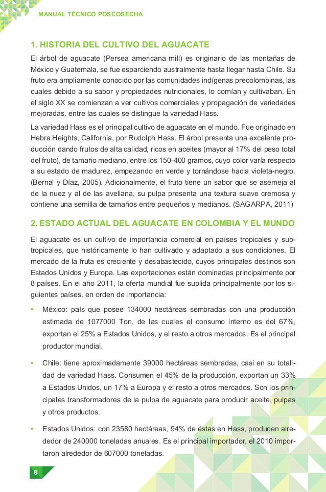 manual tecnico del cultivo de aguacate hass Manual tecnico del cultivo del aguacate hass (persea americana l.