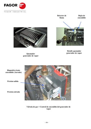 Detector de                 Bujía de
                                                                  llama                    encendido




                                                                               Detalle quemador
                           Quemador                                           generador de vapor
                       generador de vapor




  Dispositivo lento
encendido ( lacrado)



  Presion salida




  Presion entrada




                           Válvula de gas + Control de encendido del generador de
                                                    vapor




                                                 - 14 -
 