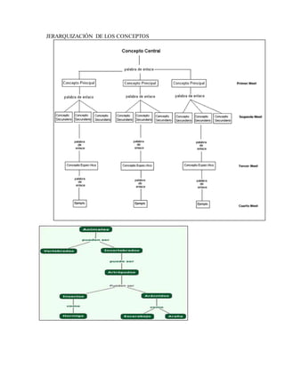 JERARQUIZACIÓN DE LOS CONCEPTOS
 