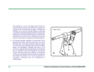 Instituto de Nutrición de Centro América y Panamá (INCAP/OPS)
20
otro extremo, y con una tijera se le hace un
corte redondo de 3 cm de diámetro, que es por
donde se le suministrará el riego. También es
posible, con un poco más de trabajo, colocarle
unpedazodebotelladesechableamanerade
embudo,conlatapaperforadaconseishoyitos,
amarrando la boca de la botella cuando se
hace el nudo de la manga en la parte superior.
6. La manga se deja colgada o recostada. No se
siembra el mismo día que se llenó, sino que
durante dos o tres días se deben aplicar riegos
con solución de nutrientes para que el sustrato
baje o se estabilice. Después de esto y a la
sombra,setrasplantanlasplantitasprovenientes
de un semillero. Para el trasplante, se hacen
hoyos que apunten hacia abajo, a través de
cada una de las perforaciones de la manga y
se meten las raíces con mucha paciencia y
cuidado, tratando de no romperlas ni
maltratarlas.
‘
 