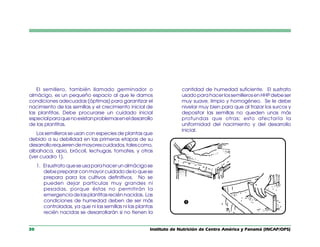 Instituto de Nutrición de Centro América y Panamá (INCAP/OPS)
30
El semillero, también llamado germinador o
almácigo, es un pequeño espacio al que le damos
condiciones adecuadas (óptimas) para garantizar el
nacimiento de las semillas y el crecimiento inicial de
las plantitas. Debe procurarse un cuidado inicial
especialparaquenoexistanproblemaseneldesarrollo
de las plantitas.
Los semilleros se usan con especies de plantas que
debido a su debilidad en las primeras etapas de su
desarrollorequierendemayorescuidados,talescomo,
albahaca, apio, brócoli, lechugas, tomates, y otras
(ver cuadro 1).
1. Elsustratoqueseusaparahacerunalmácigose
debe preparar con mayor cuidado de lo que se
prepara para los cultivos definitivos. No se
pueden dejar partículas muy grandes ni
pesadas, porque éstas no permitirán la
emergenciadelasplantitasreciénnacidas. Las
condiciones de humedad deben de ser más
controladas, ya que ni las semillas ni las plantas
recién nacidas se desarrollarán si no tienen la
cantidad de humedad suficiente. El sustrato
usado para hacer los semilleros en HHP debe ser
muy suave, limpio y homogéneo. Se le debe
nivelar muy bien para que al trazar los surcos y
depositar las semillas no queden unas más
profundas que otras; esto afectaría la
uniformidad del nacimiento y del desarrollo
inicial.
Œ
 