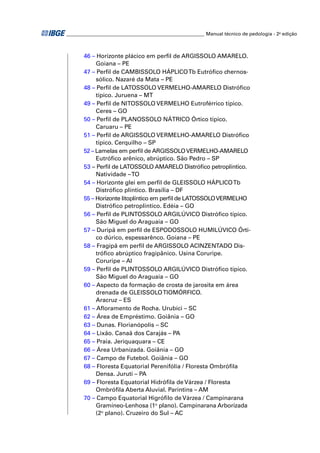 _________________________________________________________ Manual técnico de pedologia - 2a edição 
46 – Horizonte plácico em perfi l de ARGISSOLO AMARELO. 
Goiana – PE 
47 – Perfi l de CAMBISSOLO HÁPLICO Tb Eutrófi co chernos-sólico. 
Nazaré da Mata – PE 
48 – Perfi l de LATOSSOLO VERMELHO-AMARELO Distrófi co 
típico. Juruena – MT 
49 – Perfi l de NITOSSOLO VERMELHO Eutroférrico típico. 
Ceres – GO 
50 – Perfi l de PLANOSSOLO NÁTRICO Órtico típico. 
Caruaru – PE 
51 – Perfi l de ARGISSOLO VERMELHO-AMARELO Distrófi co 
típico. Cerquilho – SP 
52 – Lamelas em perfi l de ARGISSOLO VERMELHO-AMARELO 
Eutrófi co arênico, abrúptico. São Pedro – SP 
53 – Perfi l de LATOSSOLO AMARELO Distrófi co petroplíntico. 
Natividade – TO 
54 – Horizonte glei em perfi l de GLEISSOLO HÁPLICO Tb 
Distrófi co plíntico. Brasília – DF 
55 – Horizonte litoplíntico em perfi l de LATOSSOLO VERMELHO 
Distrófi co petroplíntico. Edéia – GO 
56 – Perfi l de PLINTOSSOLO ARGILÚVICO Distrófi co típico. 
São Miguel do Araguaia – GO 
57 – Duripã em perfi l de ESPODOSSOLO HUMILÚVICO Órti-co 
dúrico, espessarênco. Goiana – PE 
58 – Fragipã em perfi l de ARGISSOLO ACINZENTADO Dis-trófi 
co abrúptico fragipânico. Usina Coruripe. 
Coruripe – Al 
59 – Perfi l de PLINTOSSOLO ARGILÚVICO Distrófi co típico. 
São Miguel do Araguaia – GO 
60 – Aspecto da formação de crosta de jarosita em área 
drenada de GLEISSOLO TIOMÓRFICO. 
Aracruz – ES 
61 – Afl oramento de Rocha. Urubici – SC 
62 – Área de Empréstimo. Goiânia – GO 
63 – Dunas. Florianópolis – SC 
64 – Lixão. Canaã dos Carajás – PA 
65 – Praia. Jeriquaquara – CE 
66 – Área Urbanizada. Goiânia – GO 
67 – Campo de Futebol. Goiânia – GO 
68 – Floresta Equatorial Perenifólia / Floresta Ombrófi la 
Densa. Juruti – PA 
69 – Floresta Equatorial Hidrófi la de Várzea / Floresta 
Ombrófi la Aberta Aluvial. Parintins – AM 
70 – Campo Equatorial Higrófi lo de Várzea / Campinarana 
Gramíneo-Lenhosa (1o plano). Campinarana Arborizada 
(2o plano). Cruzeiro do Sul – AC 
 