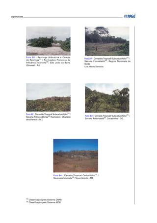 Apêndices ____________________________________________________________________________________ 
Foto 80 - Restinga Arbustiva e Campo 
de Restinga(1) / Formações Pioneiras de 
Influência Marinha(2). São João da Barra 
(Grussaí) - RJ. 
(1) Classifi cação pelo Sistema CNPS 
(2) Classifi cação pelo Sistema IBGE 
Foto 81 - Cerradão Tropical Subcaducifólio(1) / 
Savana Florestada(2). Região Nordeste de 
Goiás 
Luís Alberto Dambrós 
Foto 82 - Cerradão Tropical Subcaducifólio(1) / 
Savana Arbórea Densa(2) (Carrasco) . Chapada 
dos Parecis - MT. 
Foto 83 - Cerrado Tropical Subcaducifólio(1) / 
Savana Arborizada(2). Cocalzinho - GO. 
Foto 84 - Cerrado Tropical Caducifólio(1) / 
Savana Arborizada(2). Novo Acordo - TO. 
 