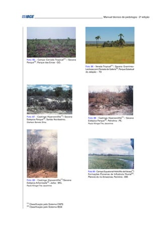 ________________________________________________________ Manual técnico de pedologia - 2a edição 
Foto 85 - Campo Cerrado Tropical(1) / Savana 
Parque(2). Parque das Emas - GO. 
(1) Classifi cação pelo Sistema CNPS 
(2) Classifi cação pelo Sistema IBGE 
Foto 86 - Vereda Tropical(1) / Savana Gramíneo- 
Lenhosa com Floresta de Galeria(2). Parque Estadual 
do Jalapão - TO 
Foto 87 - Caatinga Hiperxerófi la(1)/ Savana 
Estépica Parque(2). Sertão Nordestino. 
Glailson Barreto Silva 
Foto 88 - Caatinga Hiperxerófi la(1) / Savana 
Estépica Parque(2). Petrolina - PE. 
Paulo Klinger Tito Jacomine 
Foto 89 - Caatinga Hipoxerófi la(1)/Savana 
Estépica Arborizada(2). Jaíba - MG. 
Paulo Klinger Tito Jacomine 
Foto 90 - Campo Equatorial Hidrófi lo de Várzea(1)/ 
Formações Pioneiras de Infl uência Fluvial(2). 
Planície do rio Amazonas. Parintins - AM. 
 
