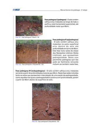________________________________________________________ Manual técnico de pedologia - 2a edição 
Fase pedregosa I (pedregosa) - O solo contém 
calhaus e/ou matacões ao longo de todo o 
perfi l ou no(s) horizonte(s) superior(es), até 
profundidade maior que 40cm. 
Fase pedregosa II (epipedregosa) 
- O solo contém calhaus e/ou 
matacões na parte superfi cial 
e/ou dentro do solo até 
profundidade em torno de 40cm. 
Esta fase inclui solos da classe 
dos Neossolos Litólicos (Solos 
Litólicos), que apresentam 
pedregosidade. Solos com 
pavimento pedregoso que não 
pode ser facilmente removido 
incluem-se também nesta fase. 
Foto 121 - Fase pedregosa I. Ribeira - SP. 
Foto 122 - Fase pedregosa II. Niquelândia - GO. 
Fase pedregosa III (endopedregosa) - O solo contém calhaus e/ou matacões 
somente a partir de profundidades maiores que 40cm. Nesta fase estão incluídos 
tanto os solos que apresentam intercalação de uma seção de pedregosidade, 
como aqueles nos quais a pedregosidade é contínua em profundidade, porém 
a partir de 40cm abaixo da superfície do solo. 
Foto 123 - Fase pedregosa III. Niquelândia - GO. 
 