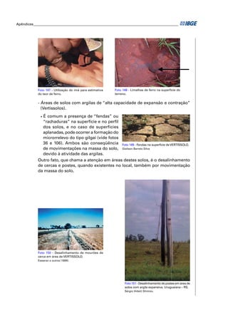 Apêndices ____________________________________________________________________________________ 
Foto 149 - Fendas na superfície de VERTISSOLO. 
Glailson Barreto Silva 
Foto 147 - Utilização do ímã para estimativa 
do teor de ferro. 
Foto 148 - Limalhas de ferro na superfície do 
terreno. 
- Áreas de solos com argilas de “alta capacidade de expansão e contração” 
(Vertissolos). 
• É comum a presença de “fendas” ou 
“rachaduras” na superfície e no perfi l 
dos solos, e no caso de superfícies 
aplanadas, pode ocorrer a formação do 
microrrelevo do tipo gilgai (vide fotos 
36 e 106). Ambos são conseqüência 
de movimentações na massa do solo, 
devido à atividade das argilas. 
Outro fato, que chama a atenção em áreas destes solos, é o desalinhamento 
de cercas e postes, quando existentes no local, também por movimentação 
da massa do solo. 
Foto 150 - Desalinhamento de mourões de 
cerca em área de VERTISSOLO. 
Eswaran e outros (1999). 
Foto 151 - Desalinhamento de postes em área de 
solos com argila expansiva. Uruguaiana – RS. 
Sérgio Hideiti Shimizu 
 
