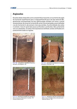 ________________________________________________________ Manual técnico de pedologia - 2a edição 
Argissolos 
Os solos desta classe têm como característica marcante um aumento de argila 
do horizonte superfi cial A para o subsuperfi cial B que é do tipo textural (Bt), 
geralmente acompanhado de boa diferenciação também de cores e outras 
características. As cores do horizonte Bt variam de acinzentadas a avermelhadas 
e as do horizonte A, são sempre mais escurecidas. A profundidade dos solos 
é variável, mas em geral são pouco profundos e profundos. São juntamente 
com os Latossolos, os solos mais expressivos do Brasil, sendo verifi cados em 
praticamente todas as regiões. 
Foto 169 - ARGISSOLO VERMELHO Alumínico 
abrúptico. Piracicaba - SP. 
Foto 168 - ARGISSOLO AMARELO Distrófi co 
abrúptico. São Mateus - ES. 
Foto 170 - ARGISSOLO VERMELHO-AMARELO 
Alumínico típico (Rubrozém). Curitiba - PR. 
Gustavo Ribas Cúrcio 
Foto 171 - ARGISSOLO BRUNO-ACINZENTADO 
Alítico típico (Podzólico Bruno-Acinzentado). 
Telêmaco Borba – PR. 
 