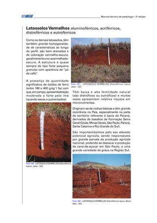 ________________________________________________________ Manual técnico de pedologia - 2a edição 
Latossolos Vermelhos aluminoférricos, acriférricos, 
distroférricos e eutroférricos 
Como os demais latossolos, têm 
também grande homogeneida-de 
de características ao longo 
do perfi l, são bem drenados e 
de coloração vermelho-es cura, 
geralmente bruno-aver melhado-escuro. 
A estrutura é quase 
sempre do tipo for te pequena 
granular com aparência de “pó 
de café”. 
A presença de quantidade 
signifi cativa de óxidos de ferro 
(entre 180 e 400 g.kg-1) faz com 
que, em campo, apresenteatração 
moderada a forte pelo imã 
(quando secos e pulverizados). 
Foto 191 - LATOSSOLO VERMELHO Distroférrico típico. 
Jataí - GO. 
Têm baixa e alta fertilidade natural 
(são distróficos ou eutróficos) e muitas 
vezes apresentam relativa riqueza em 
micronutrientes. 
Originam-se de rochas básicas e têm grande 
ocorrência no País, especialmente na parte 
do território referente à bacia do Paraná, 
derivados de basaltos da Formação Serra 
Geral (Goiás, Minas Gerais, São Paulo, Paraná, 
Santa Catarina e Rio Grande do Sul). 
São importantíssimos pelo seu elevado 
potencial agrícola, sendo responsáveis 
por grande parcela da produção agrícola 
nacional, podendo-se destacar a produção 
de cana-de-açúcar em São Paulo, e uma 
grande variedade de grãos na Região Sul. 
Foto 192 - LATOSSOLOVERMELHO Distroférrico 
típico. Jataí - GO. 
Foto 193 - LATOSSOLO VERMELHO Distroférrico típico. Barro 
Alto - GO. 
 