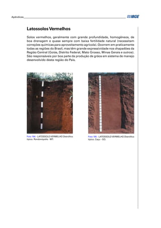 Apêndices ____________________________________________________________________________________ 
Latossolos Vermelhos 
Solos vermelhos, geralmente com grande profundidade, homogêneos, de 
boa drenagem e quase sempre com baixa fertilidade natural (necessitam 
correções químicas para aproveitamento agrícola). Ocorrem em praticamente 
todas as regiões do Brasil, mas têm grande expressividade nos chapadões da 
Região Central (Goiás, Distrito Federal, Mato Grosso, Minas Gerais e outros). 
São responsáveis por boa parte da produção de grãos em sistema de manejo 
desenvolvido desta região do País. 
Foto 194 - LATOSSOLO VERMELHO Distrófi co 
típico. Rondonópolis - MT. 
Foto 195 - LATOSSOLO VERMELHO Distrófi co 
típico. Caçu - GO. 
 
