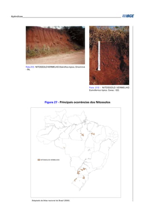 Apêndices ____________________________________________________________________________________ 
Foto 212 - NITOSSOLO VERMELHO Distrófi co típico. Oriximiná 
- PA. 
Figura 27 - Principais ocorrências dos Nitossolos 
NITOSSOLOS VERMELHOS 
Adaptado de Atlas nacional do Brasil (2000). 
Foto 213 - NITOSSOLO VERMELHO 
Eutroférrico típico. Ceres - GO. 
 