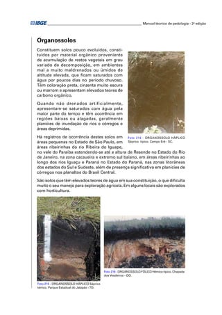 ________________________________________________________ Manual técnico de pedologia - 2a edição 
Organossolos 
Constituem solos pouco evoluídos, consti-tuídos 
por material orgânico proveniente 
de acumulação de restos vegetais em grau 
variado de decomposição, em ambientes 
mal a muito maldrenados ou úmidos de 
al titude elevada, que fi cam saturados com 
água por poucos dias no período chuvoso. 
Têm coloração preta, cinzenta muito escura 
ou marrom e apresentam elevados teores de 
carbono orgânico. 
Quando não drenados artificialmente, 
apresentam-se saturados com água pela 
maior parte do tempo e têm ocorrência em 
regiões baixas ou alagadas, geralmente 
planícies de inundação de rios e córregos e 
áreas deprimidas. 
Há registros de ocorrência destes solos em 
Foto 214 - ORGANOSSOLO HÁPLICO 
áreas pequenas no Estado de São Paulo, em 
Sáprico típico. Campo Erê - SC. 
áreas ribeirinhas do rio Ribeira do Iguape, 
no vale do Paraíba estendendo-se até a altura de Resende no Estado do Rio 
de Janeiro, na zona cacaueira e extremo sul baiano, em áreas ribeirinhas ao 
longo dos rios Iguaçu e Paraná no Estado do Paraná, nas zonas litorâneas 
dos estados do Sul e Sudeste, além de presença signifi cativa em planícies de 
córregos nos planaltos do Brasil Central. 
São solos que têm elevados teores de água em sua constituição, o que difi culta 
muito o seu manejo para exploração agrícola. Em alguns locais são explorados 
com horticultura. 
Foto 215 - ORGANOSSOLO HÁPLICO Sáprico 
térrico. Parque Estadual do Jalapão - TO. 
Foto 216 - ORGANOSSOLO FÓLICO Hêmico típico. Chapada 
dos Veadeiros - GO. 
 
