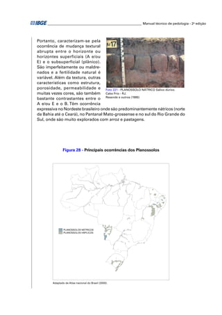 ________________________________________________________ Manual técnico de pedologia - 2a edição 
Portanto, caracterizam-se pela 
ocorrência de mudança textural 
abrupta entre o horizonte ou 
horizontes superficiais (A e/ou 
E) e o subsuperficial (plânico). 
São imperfeitamente ou maldre-nados 
e a fertilidade natural é 
variável. Além da textura, outras 
características como estrutura, 
porosidade, permeabilidade e 
Foto 221 - PLANOSSOLO NÁTRICO Sálico dúrico. 
muitas vezes cores, são também 
Cabo Frio - RJ. 
bastante contrastantes entre o 
Resende e outros (1995) 
A e/ou E e o B. Têm ocorrência 
expressiva no Nordeste brasileiro onde são predominantemente nátricos (norte 
da Bahia até o Ceará), no Pantanal Mato-grossense e no sul do Rio Grande do 
Sul, onde são muito explorados com arroz e pastagens. 
Figura 28 - Principais ocorrências dos Planossolos 
PLANOSSOLOS NÁTRICOS 
PLANOSSOLOS HÁPLICOS 
Adaptado de Atlas nacional do Brasil (2000). 
 
