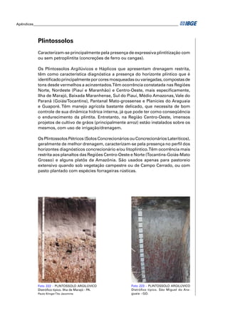 Apêndices ____________________________________________________________________________________ 
Plintossolos 
Caracterizam-se principalmente pela presença de expressiva plintitização com 
ou sem petroplintita (concreções de ferro ou cangas). 
Os Plintossolos Argilúvicos e Háplicos que apresentam drenagem restrita, 
têm como característica diagnóstica a presença do horizonte plíntico que é 
identifi cado principalmente por cores mosqueadas ou variegadas, compostas de 
tons desde vermelhos a acinzentados. Têm ocorrência constatada nas Regiões 
Norte, Nordeste (Piauí e Maranhão) e Centro-Oeste, mais especifi camente, 
Ilha de Marajó, Baixada Maranhense, Sul do Piauí, Médio Amazonas, Vale do 
Paranã (Goiás/Tocantins), Pantanal Mato-grossense e Planícies do Araguaia 
e Guaporé. Têm manejo agrícola bastante delicado, que necessita de bom 
controle de sua dinâmica hídrica interna, já que pode ter como conseqüência 
o endurecimento da plintita. Entretanto, na Região Centro-Oeste, imensos 
projetos de cultivo de grãos (principalmente arroz) estão instalados sobre os 
mesmos, com uso de irrigação/drenagem. 
Os Plintossolos Pétricos (Solos Concrecionários ou Concrecionários Lateríticos), 
geralmente de melhor drenagem, caracterizam-se pela presença no perfi l dos 
horizontes diagnósticos concrecionário e/ou litoplíntico. Têm ocorrência mais 
restrita aos planaltos das Regiões Centro-Oeste e Norte (Tocantins-Goiás-Mato 
Grosso) e alguns platôs da Amazônia. São usados apenas para pastoreio 
extensivo quando sob vegetação campestre ou de Campo Cerrado, ou com 
pasto plantado com espécies forrageiras rústicas. 
Foto 222 - PLINTOSSOLO ARGILÚVICO 
Distrófi co típico. Ilha de Marajó - PA. 
Paulo Klinger Tito Jacomine 
Foto 223 - PLINTOSSOLO ARGILÚVICO 
Distrófi co típico. São Miguel do Ara-guaia 
- GO. 
 