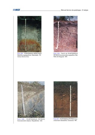 ________________________________________________________ Manual técnico de pedologia - 2a edição 
Foto 225 - Perfil de PLINTOSSOLO 
PÉTRICO Concrecionário argissólico. São 
Félix do Araguaia - MT. 
Foto 227 - PLINTOSSOLO PÉTRICO Con-crecionário 
latossólico. Canarana - MT. 
Foto 224 – PLINTOSSOLO ARGILÚVICO 
Distrófi co espessarênico. Natividade – TO. 
Glailson Barreto Silva 
Foto 226 - PLINTOSSOLO PÉTRICO 
Concrecionário léptico. Niquelândia - GO. 
 