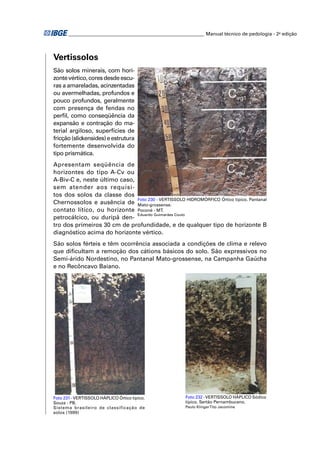 ________________________________________________________ Manual técnico de pedologia - 2a edição 
Vertissolos 
São solos minerais, com hori-zonte 
vértico, cores desde escu-ras 
a amareladas, acinzentadas 
ou avermelhadas, profundos e 
pouco profundos, geralmente 
com presença de fendas no 
perfi l, como conseqüência da 
expansão e contração do ma-terial 
argiloso, superfícies de 
fricção (slickensides) e estrutura 
fortemente desenvolvida do 
tipo prismática. 
Apresentam seqüência de 
horizontes do tipo A-Cv ou 
A-Biv-C e, neste último caso, 
sem atender aos requisi-tos 
dos solos da classe dos 
Chernossolos e ausência de 
contato lítico, ou horizonte 
petrocálcico, ou duripã den-tro 
Foto 230 - VERTISSOLO HIDROMÓRFICO Órtico típico. Pantanal 
Mato-grossense. 
Poconé - MT. 
Eduardo Guimarães Couto 
dos primeiros 30 cm de profundidade, e de qualquer tipo de horizonte B 
diagnóstico acima do horizonte vértico. 
São solos férteis e têm ocorrência associada a condições de clima e relevo 
que difi cultam a remoção dos cátions básicos do solo. São expressivos no 
Semi-árido Nordestino, no Pantanal Mato-grossense, na Campanha Gaúcha 
e no Recôncavo Baiano. 
Foto 231 - VERTISSOLO HÁPLICO Órtico típico. 
Souza - PB. 
Sistema brasileiro de classificação de 
solos (1999) 
Foto 232 - VERTISSOLO HÁPLICO Sódico 
típico. Sertão Pernambucano. 
Paulo Klinger Tito Jacomine 
 