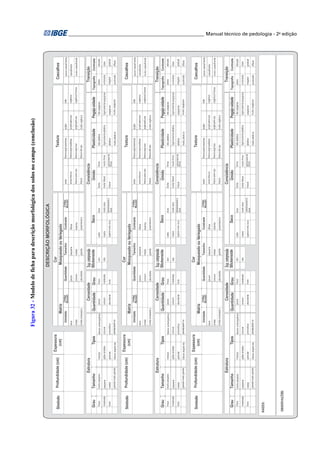 ________________________________________________________ Manual técnico de pedologia - 2a edição 
Figura 321 - Modelo de ficha para descrição morfológica dos solos no campo (conclusão) 
DESCRIÇÃO MORFOLÓGICA 
Grau Tamanho 
Grau Tamanho 
Grau Tamanho 
RAÍZES: 
OBSERVAÇÕES: 
Cascalhos 
plana 
pouco cascal henta 
muito cascalhenta 
ondulada 
Contraste 
abrupta 
clara 
irregular gradual 
quebrada difusa 
Umidade 
seca 
úmida 
Matriz 
Quantidade 
pouco 
comum 
Mosqueado ou Variegado 
Tamanho 
pequena 
média 
Contraste 
difusa 
distinta 
Cor 
areia 
areia-franca 
franco-aren osa 
franco 
franco-argi loarenosa 
franco-argi lossiltosa 
franco-argi losa 
franco-silt osa 
argila 
argiloarenosa 
argilossilt osa 
Textura 
abundante grande proeminent e 
cascalhenta 
fraca 
moderada 
forte 
maciça 
grãos simples 
Tipos 
granular 
blocos angula res 
blocos subangulares 
colunar 
prismática 
Quantidade 
pouca 
comum 
abundante 
Grau Slickenside 
fraca 
moderada 
forte 
solta 
macia 
Seco 
dura 
muito dura 
Solta 
muito friável 
friável 
Úmido 
firme 
muito firme 
Plasticidade 
não plástica 
plástica 
muito plásti ca 
não pegajosa 
ligeiramente pegajosa 
pegajosa 
Estrutura Cerosidade 
sim 
não 
Consistência 
Pegajo sidade 
úmida amassad a 
ligeiramente plástica 
Transição 
paralepipédi ca 
muito pequena 
pequena 
média 
grande/ muito grande 
Código 
Munsell 
Código 
Munsell 
muito pegajosa 
muito argilos a 
Topografia 
silte 
orgânica 
orgânica fi brosa 
firme 
Cascalhos 
plana 
pouco cascal henta 
muito cascalhenta 
ondulada 
Contraste 
abrupta 
clara 
irregular gradual 
quebrada difusa 
Umidade 
seca 
úmida 
Matriz 
Quantidade 
pouco 
comum 
Mosqueado ou Variegado 
Tamanho 
pequena 
média 
Contraste 
difusa 
distinta 
Cor 
areia 
areia-franca 
franco-aren osa 
franco 
franco-argi loarenosa 
franco-argi lossiltosa 
franco-argi losa 
franco-silt osa 
argila 
argiloarenosa 
argilossilt osa 
Textura 
abundante grande proeminent e 
cascalhenta 
fraca 
moderada 
forte 
maciça 
grãos simples 
Tipos 
granular 
blocos angula res 
blocos subangulares 
colunar 
prismática 
Quantidade 
pouca 
comum 
abundante 
Grau Slickenside 
fraca 
moderada 
forte 
solta 
macia 
Seco 
extremament e 
dura 
dura 
muito dura 
Solta 
muito friável 
friável 
Úmido 
firme 
muito firme 
Plasticidade 
não plástica 
plástica 
muito plásti ca 
não pegajosa 
ligeiramente pegajosa 
pegajosa 
Estrutura Cerosidade 
sim 
não 
Consistência 
Pegajo sidade 
úmida amassad a 
ligeiramente plástica 
Transição 
paralepipédi ca 
muito pequena 
pequena 
média 
grande/ muito grande 
Código 
Munsell 
Código 
Munsell 
muito pegajosa 
muito argilos a 
Topografia 
silte 
orgânica 
orgânica fi brosa 
firme 
Cascalhos 
plana 
pouco cascal henta 
muito cascalhenta 
ondulada 
Contraste 
abrupta 
clara 
irregular gradual 
quebrada difusa 
Umidade 
seca 
úmida 
Matriz 
Quantidade 
pouco 
comum 
Mosqueado ou Variegado 
Tamanho 
pequena 
média 
Contraste 
difusa 
distinta 
Cor 
areia 
areia-franca 
franco-aren osa 
franco 
franco-argi loarenosa 
franco-argi lossiltosa 
franco-argi losa 
franco-silt osa 
argila 
argiloarenosa 
argilossilt osa 
Textura 
abundante grande proeminent e 
cascalhenta 
fraca 
moderada 
forte 
maciça 
grãos simples 
Tipos 
granular 
blocos angula res 
blocos subangulares 
colunar 
prismática 
Quantidade 
pouca 
comum 
abundante 
Grau Slickenside 
fraca 
moderada 
forte 
solta 
macia 
Seco 
extremament e 
dura 
dura 
muito dura 
Solta 
muito friável 
friável 
Úmido 
firme 
muito firme 
Plasticidade 
não plástica 
plástica 
muito plásti ca 
não pegajosa 
ligeiramente pegajosa 
pegajosa 
Estrutura Cerosidade 
sim 
não 
Consistência 
Pegajo sidade 
úmida amassad a 
ligeiramente plástica 
Transição 
paralepipédi ca 
muito pequena 
pequena 
média 
grande/ muito grande 
Código 
Munsell 
Código 
Munsell 
muito pegajosa 
muito argilos a 
Topografia 
silte 
orgânica 
orgânica fi brosa 
extremament e 
dura firme 
 