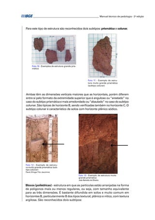 ________________________________________________________ Manual técnico de pedologia - 2a edição 
Para este tipo de estrutura são reconhecidos dois subtipos: prismática e colunar. 
Foto 10 - Exemplos de estrutura grande pris-mática 
Foto 11 - Exemplo de estru-tura 
muito grande prismática 
(subtipo colunar) 
Ambas têm as dimensões verticais maiores que as horizontais, porém diferem 
entre si pelo formato da extremidade superior que é anguloso ou “arestado” no 
caso do subtipo prismática e mais arredondado ou “abaulado” no caso do subtipo 
colunar. São típicas de horizonte B, sendo verifi cadas também no horizonte C. O 
subtipo colunar é característico de solos com horizonte plânico sódico. 
Foto 12 - Exemplo de estrutu-ra 
muito grande prismática (sub-tipo 
colunar) 
Paulo Klinger Tito Jacomine 
Foto 13 - Exemplo de estrutura muito 
grande prismática 
João Bertoldo de Oliveira 
Blocos (poliédricas) - estrutura em que as partículas estão arranjadas na forma 
de polígonos mais ou menos regulares, ou seja, com tamanho equivalente 
para as três dimensões. É bastante difundida em solos e muito comum em 
horizontes B, particularmente B dos tipos textural, plânico e nítico, com textura 
argilosa. São reconhecidos dois subtipos: 
 