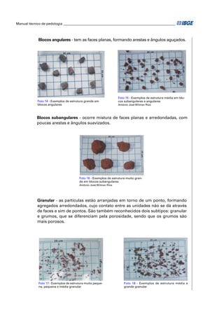 Manual técnico de pedologia __________________________________________________________________ 
Blocos angulares - tem as faces planas, formando arestas e ângulos aguçados. 
Foto 15 - Exemplos de estrutura média em blo-cos 
subangulares e angulares 
Antônio José Wilman Rios 
Foto 14 - Exemplos de estrutura grande em 
blocos angulares 
Blocos subangulares - ocorre mistura de faces planas e arredondadas, com 
poucas arestas e ângulos suavizados. 
Foto 16 - Exemplos de estrutura muito gran-de 
em blocos subangulares 
Antônio José Wilman Rios 
Granular - as partículas estão arranjadas em torno de um ponto, formando 
agregados arredondados, cujo contato entre as unidades não se dá através 
de faces e sim de pontos. São também reconhecidos dois subtipos: granular 
e grumos, que se diferenciam pela porosidade, sendo que os grumos são 
mais porosos. 
Foto 17 - Exemplos de estrutura muito peque-na, 
pequena e média granular 
Foto 18 - Exemplos de estrutura média e 
grande granular 
 